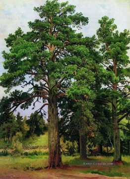  1890 - Kiefer ohne die Sonne mary howe 1890 klassische Landschaft Ivan Ivanovich Bäume